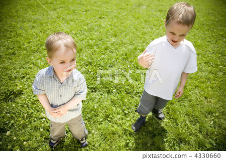 Two Brothers On The Meadow Two Brothers On The Meadow 4330660