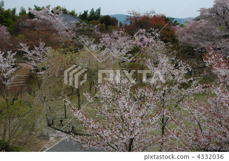 Kyoto Shogun Tsuka Okadendo garden Kyoto Shogun Tsuka Okadendo garden 4332036
