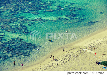 coral, sandy beach, nature 4332964