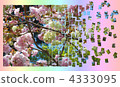 cherry blossom, cherry tree, dance 4333095