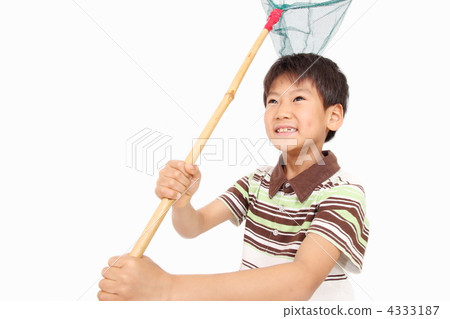 Insect trap boy 4333187