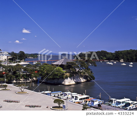 松島Gojito 4333224