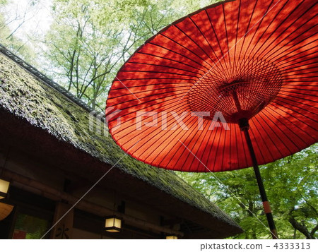 戶外儀式 傘 奈良 4333313
