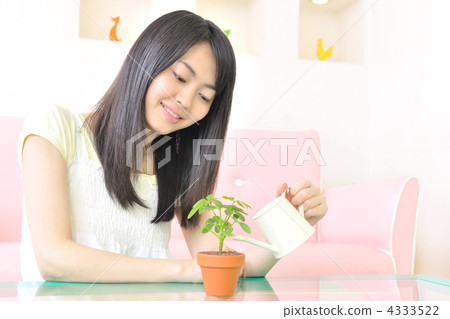 living room, industry, planting tree 4333522