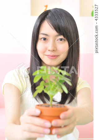 female, lady, woman 4333527