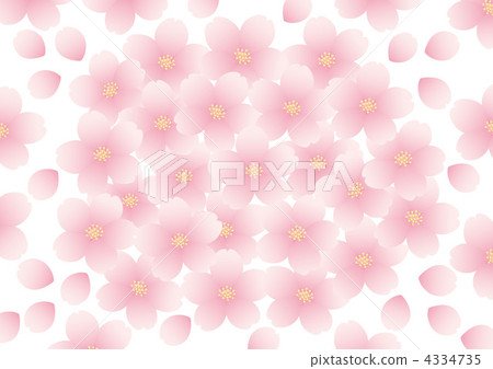 櫻花盛開 櫻花盛開 4334735