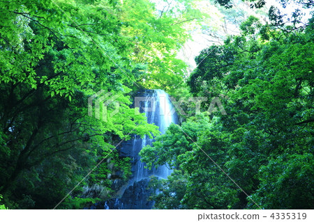 兵庫縣 風景 翠綠 4335319