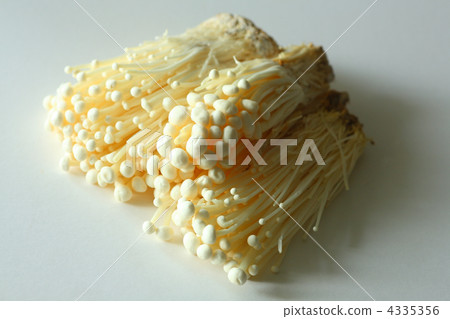Enokidake 4335356