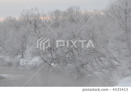 在冬天在釧路地區的Snowigawa河中看到的龍 4335413