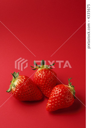 Strawberry strawberry strawberry 4335675