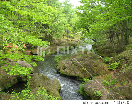 湯川 一級河流 日光國立公園 4335728