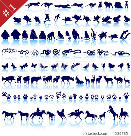 set of animal silhouettes 4339785