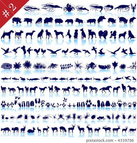 set of animal silhouettes set of animal silhouettes 4339786