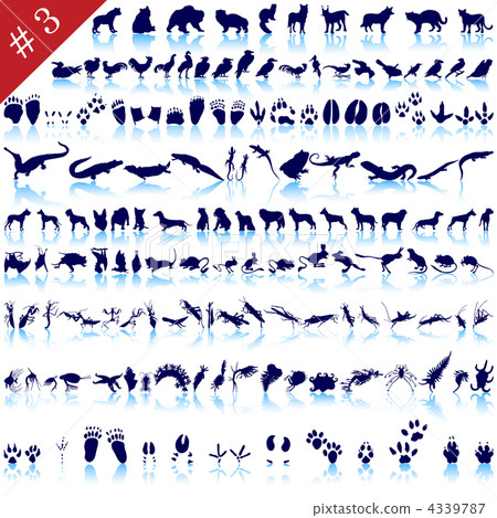 set of animal silhouettes set of animal silhouettes 4339787
