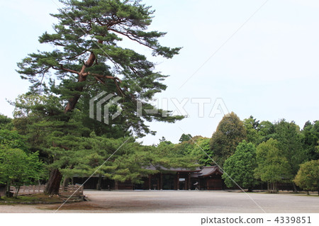 Nara Kashihara Jingu Shrine 4339851