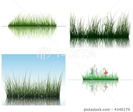 grass on water 4340170