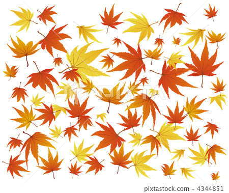 autumn leaves autumn leaves 4344851