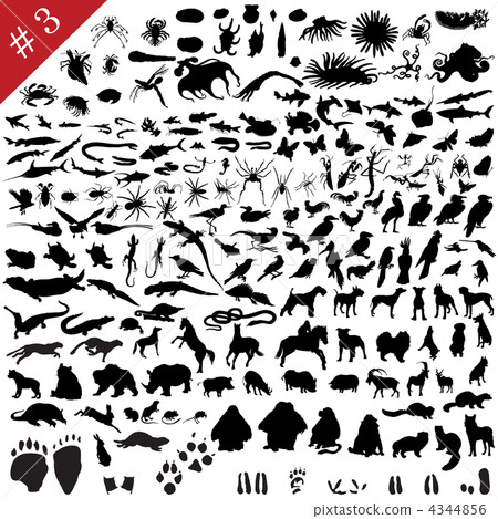 # 3 set of animal silhouettes 4344856