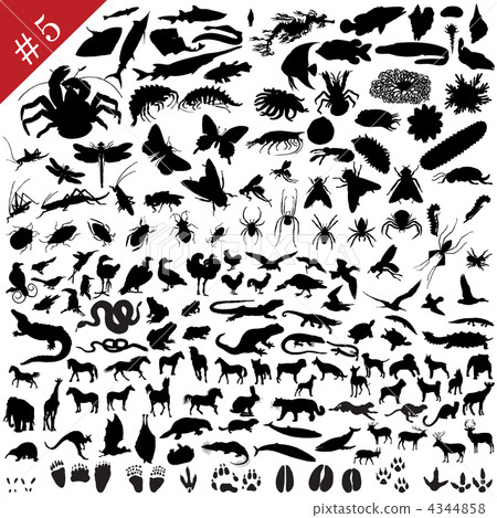 # 5 set of animal silhouettes 4344858
