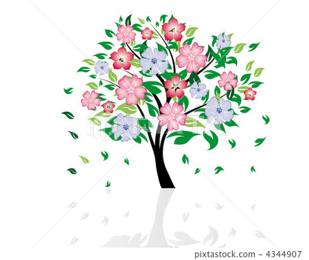 blossom tree 4344907