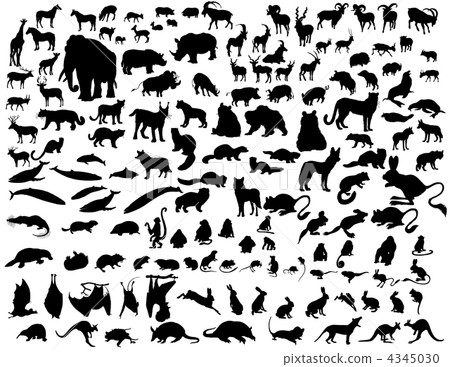 animals set 4345030