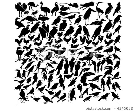 vector birds vector birds 4345038
