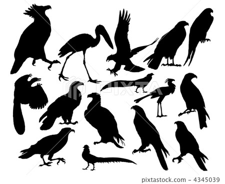 vector birds 4345039