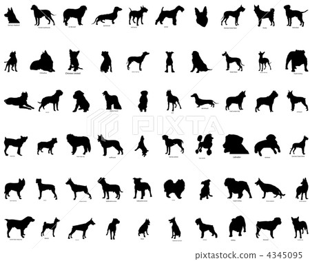 vector silhouettes of dogs vector silhouettes of dogs 4345095