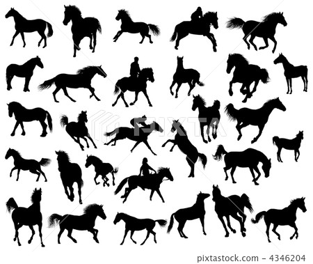 horses silhouettes horses silhouettes 4346204