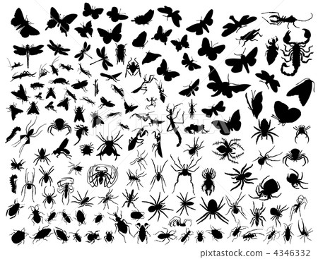 vector insects vector insects 4346332