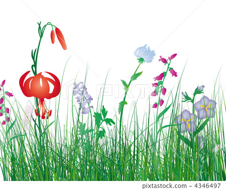 meadow silhouettes meadow silhouettes 4346497