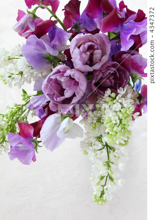 Spring Fresh Arrangement Spring Fresh Arrangement 4347372