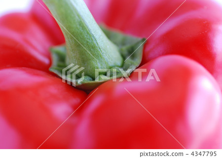 辣椒 辣椒 4347795