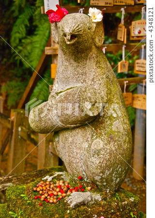 “Komon rat”（京都市Sakyo-ku，Ootake Shrine /鹿兒島町町） 4348121