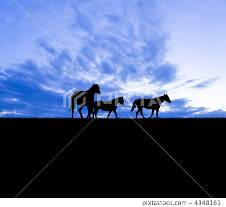 Horse silhouette Horse silhouette 4348161