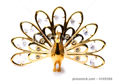 Peackock Peackock 4349366