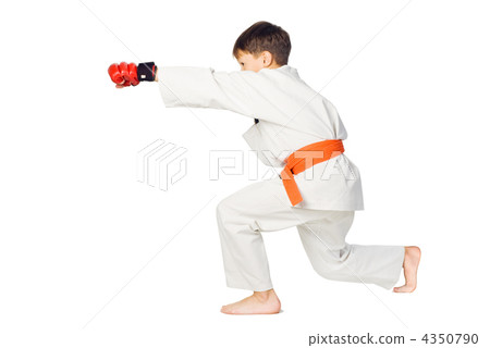 Aikido boy.Martial Arts 4350790