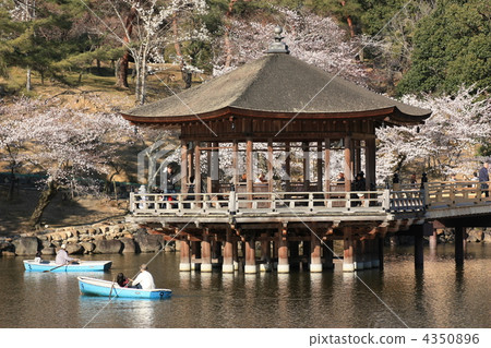浮禦堂寺 風景 奈良梅花鹿公園 4350896