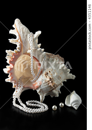 Pearl necklace and sea shells on black background Pearl necklace and sea shells on black background 4351146