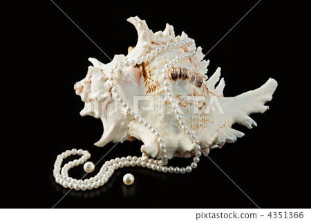 Pearl necklace and sea shells on black background 4351366