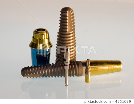 Model of dental implant ant implant in actual size 4351629