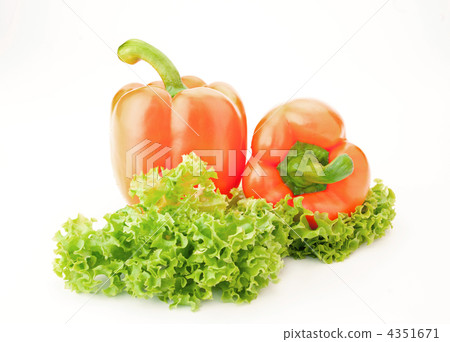 Orange paprika and salad isolated on white background Orange paprika and salad isolated on white background 4351671