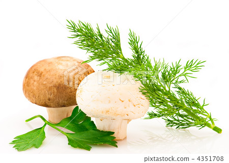 Mushroom. Champignons, green parsley and dill leaves on white ba 4351708