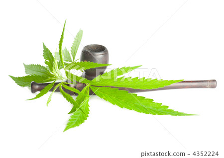 Drug cannabis. Marijuana leaf and smoking pipe isolated on white Drug cannabis. Marijuana leaf and smoking pipe isolated on white 4352224