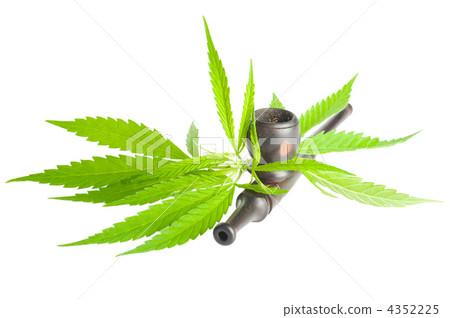 Drug cannabis. Marijuana leaf and smoking pipe isolated on white 4352225