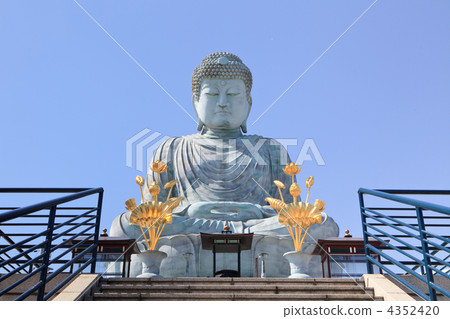 Hyogo Great Buddha 4352420
