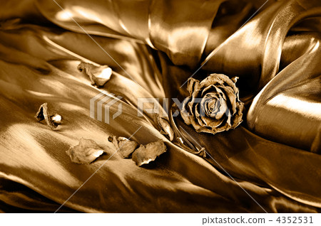 Vintage background: Dry rose on satin. Gold colored image, shall Vintage background: Dry rose on satin. Gold colored image, shall 4352531