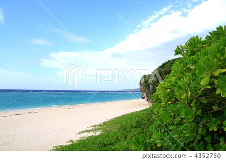 本部町瑟索庫海灘 海岸 海濱 4352750