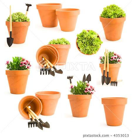 Gardening background. Set of gardening tools and gerden flowers 4353013