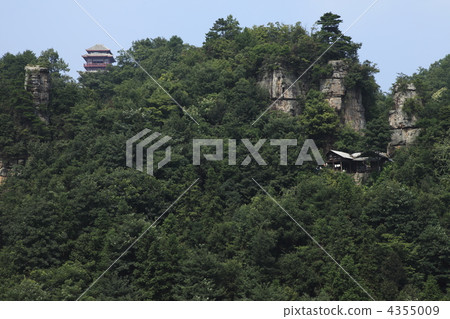 Kagura Park Tenso Koho wish Kagura Park Tenso Koho wish 4355009